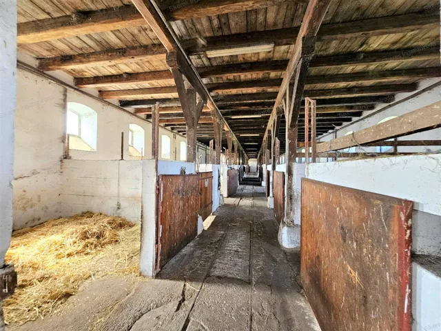 Eladó mezőgazdasági ingatlan Környe 73300 nm