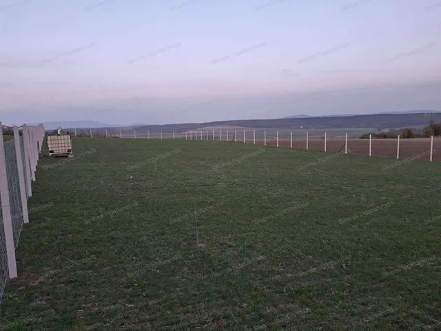 Eladó mezőgazdasági ingatlan Szomor 1594 nm