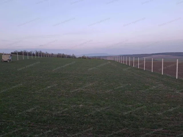 Eladó mezőgazdasági ingatlan Szomor 1594 nm