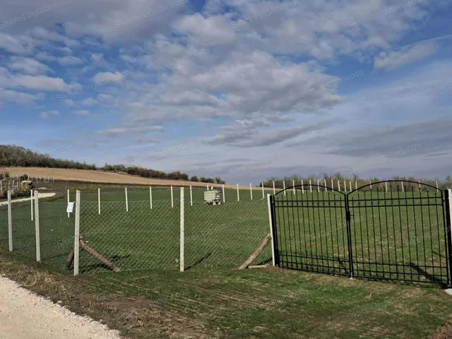 Eladó mezőgazdasági ingatlan Szomor 1629 nm