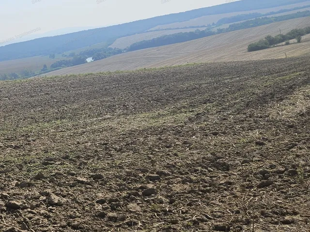 Eladó mezőgazdasági ingatlan Szomor 1624 nm