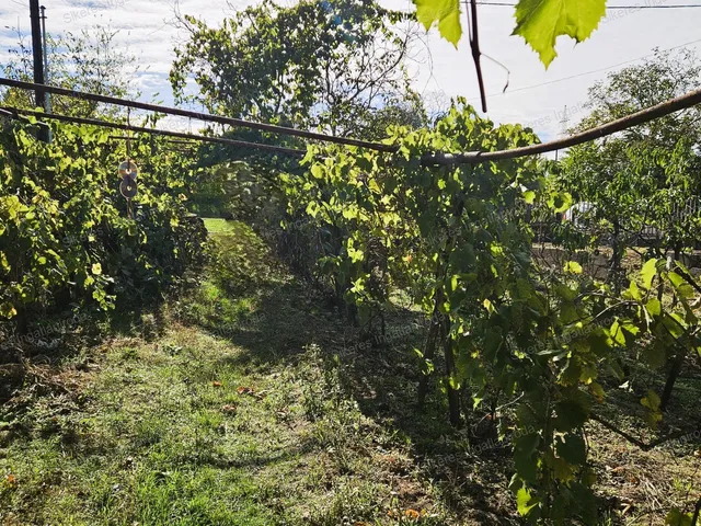 Eladó mezőgazdasági ingatlan Tata, Újhegy 2147 nm