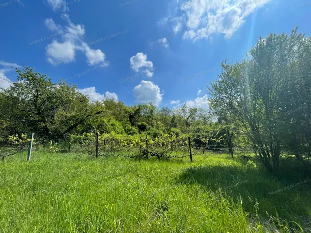 Eladó mezőgazdasági ingatlan Esztergom 3151 nm