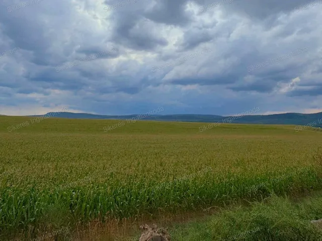 Eladó mezőgazdasági ingatlan Héreg 38 nm