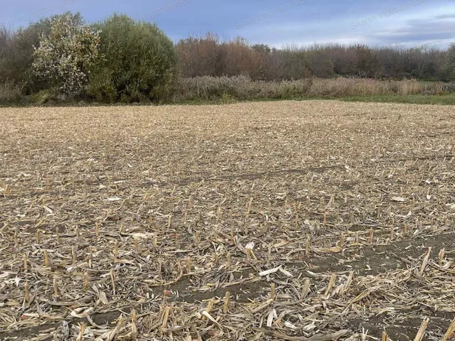 Eladó telek Dad 1232 nm