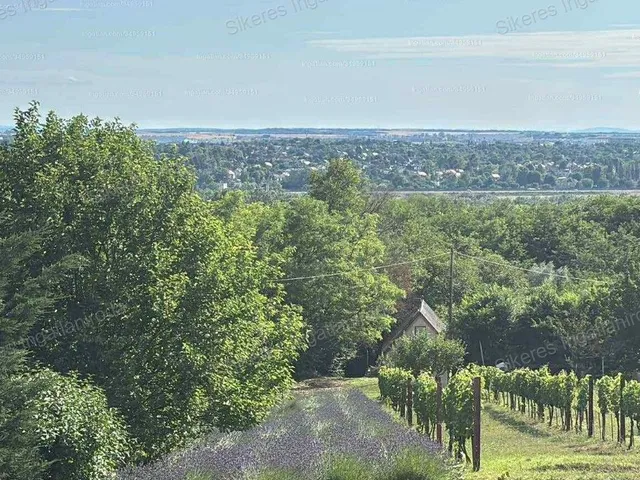 Eladó mezőgazdasági ingatlan Vértesszőlős 1299 nm