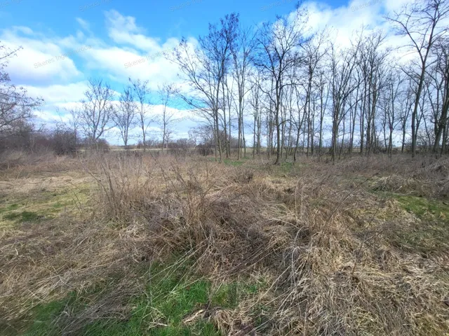 Eladó ház Ács 70 nm