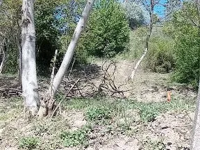 Eladó mezőgazdasági ingatlan Tatabánya, Turuloldal 1218 nm