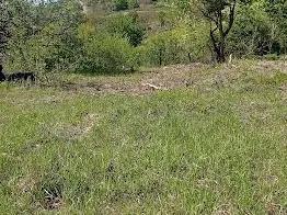 Eladó mezőgazdasági ingatlan Tatabánya, Turuloldal 1173 nm