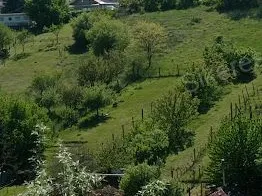 Eladó mezőgazdasági ingatlan Tatabánya, Turuloldal 1173 nm