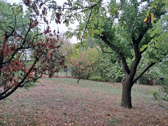 Eladó telek Szolnok, Üdülőtelep 800 nm