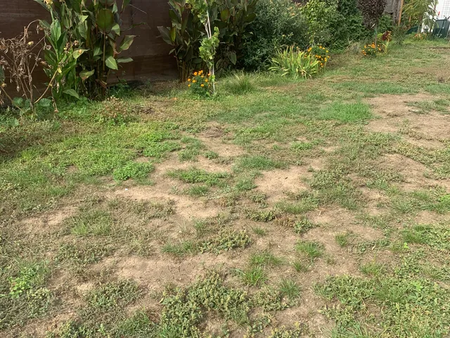 Eladó telek Tiszavárkony 1134 nm