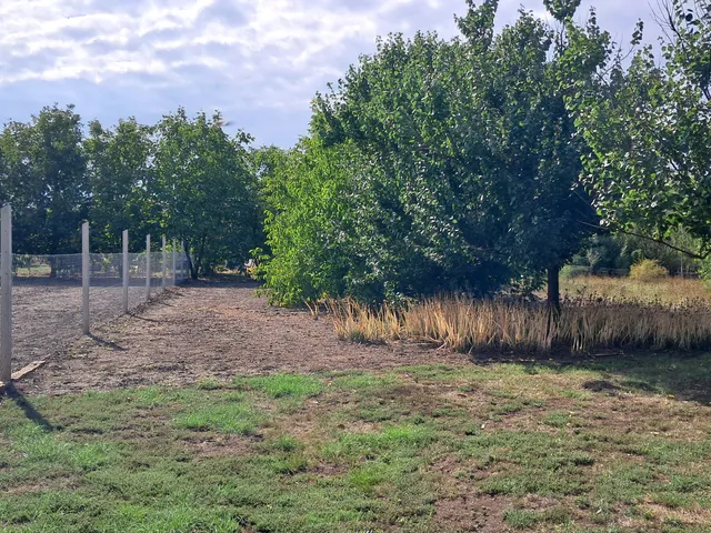 Eladó ház Tiszatenyő 80 nm