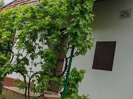 Eladó üdülő és hétvégi ház Törökszentmiklós 16 nm