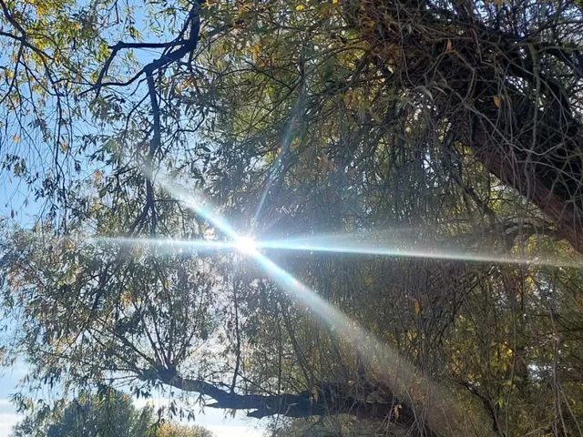 Eladó telek Törökszentmiklós 1100 nm
