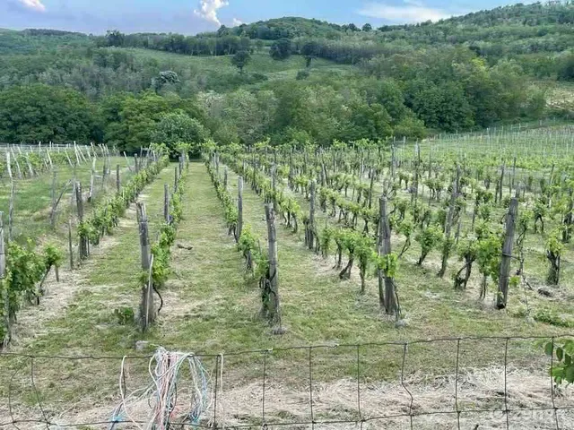 Eladó mezőgazdasági ingatlan Szekszárd 4624 nm