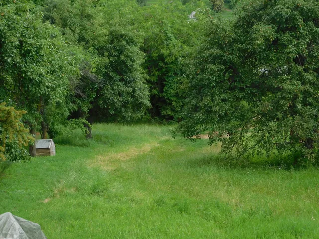 Eladó telek Noszvaj 748 nm