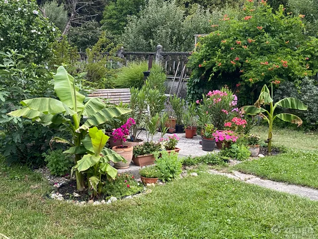 Eladó ház Verőce 125 nm