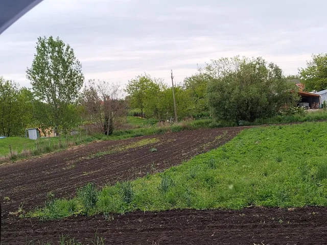 Eladó telek Perkáta 1601 nm