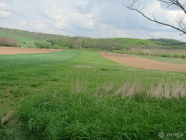 Eladó mezőgazdasági ingatlan Nógrádsáp, 0105/9, 0105/10 hrsz. 9539 nm