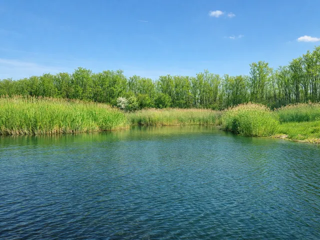 Eladó telek Répcelak 20904 nm