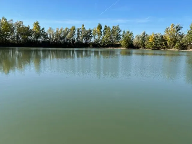 Eladó kereskedelmi és ipari ingatlan Vitnyéd 51000 nm