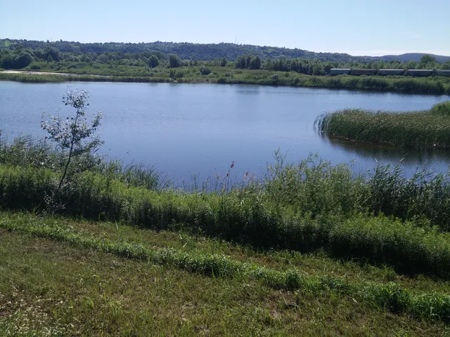 Eladó kereskedelmi és ipari ingatlan Zalaegerszeg 220000 nm