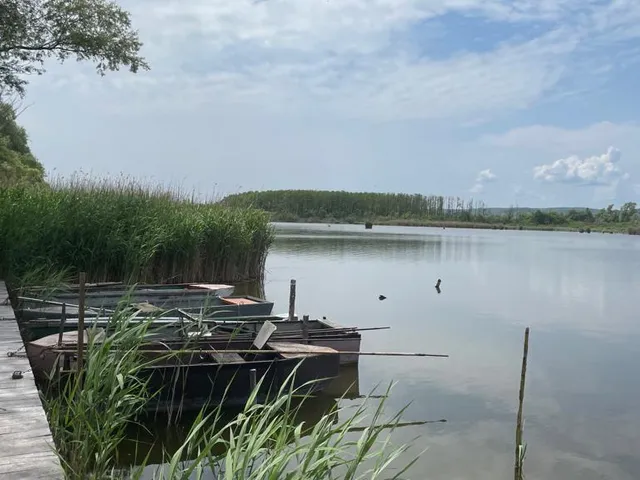 Eladó telek Pötréte 5021 nm