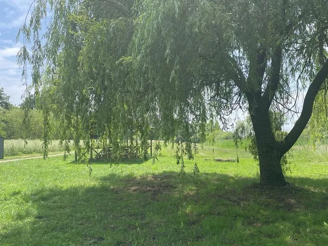 Eladó telek Pötréte 5021 nm