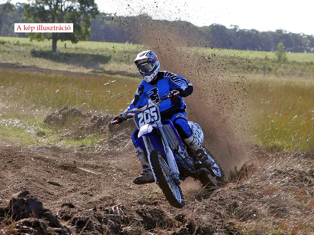 Eladó kereskedelmi és ipari ingatlan Babót 32800 nm