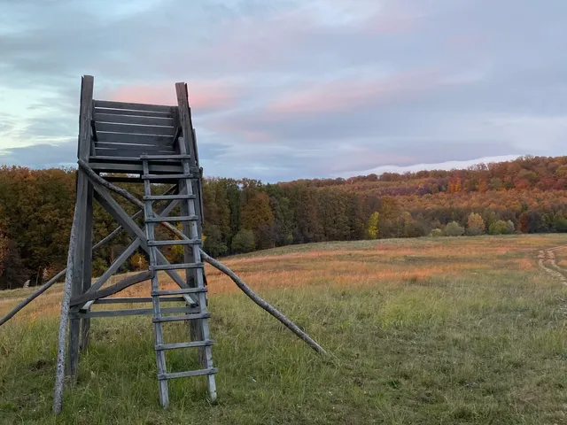 Eladó kereskedelmi és ipari ingatlan Bakonyjákó 124000 nm