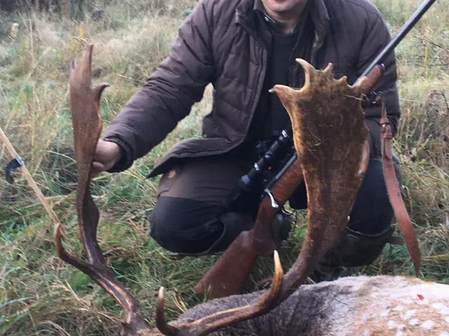 Eladó kereskedelmi és ipari ingatlan Bakonyjákó 124000 nm