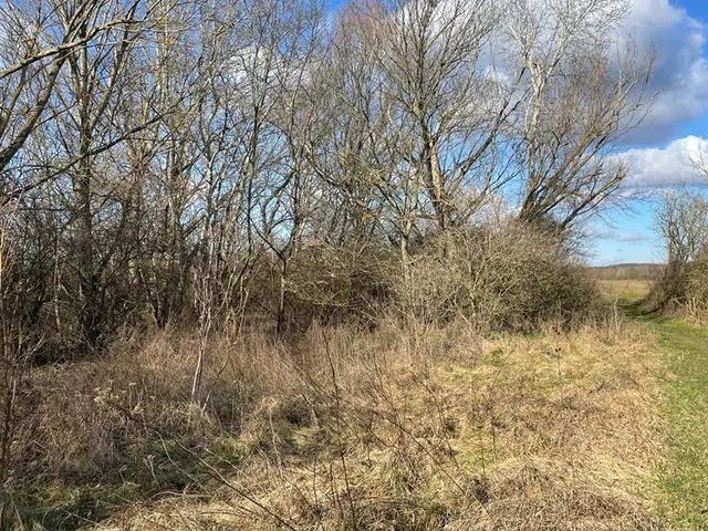 Eladó kereskedelmi és ipari ingatlan Csáfordjánosfa 4340 nm