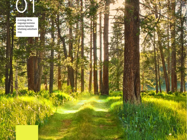 Eladó kereskedelmi és ipari ingatlan Hövej 400000 nm