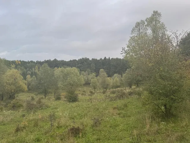 Eladó kereskedelmi és ipari ingatlan Sáska 75686 nm