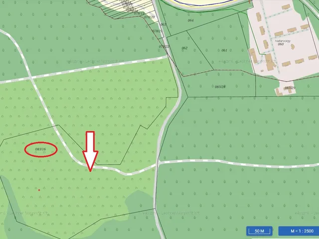 Eladó kereskedelmi és ipari ingatlan Sáska 75686 nm