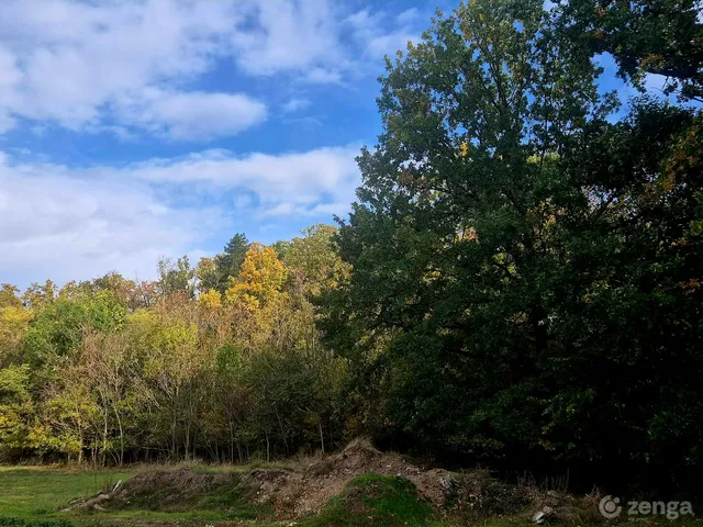 Eladó telek Tordas 972 nm