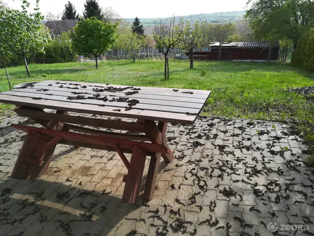 Eladó mezőgazdasági ingatlan Pécs, Kerékhegy, Mamut dűlő 28 nm