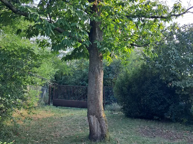 Eladó telek Miskolc 1205 nm