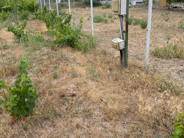 Eladó telek Dorog, Akna, Aranyhomoki dűlő 820 nm