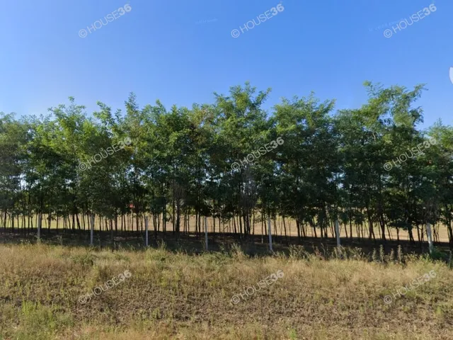 Eladó telek Kecskemét, Belső Máriahegy 6002 nm