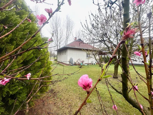 Eladó ház Cserkeszőlő 50 nm