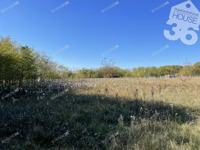 Eladó telek Ballószög 7569 nm