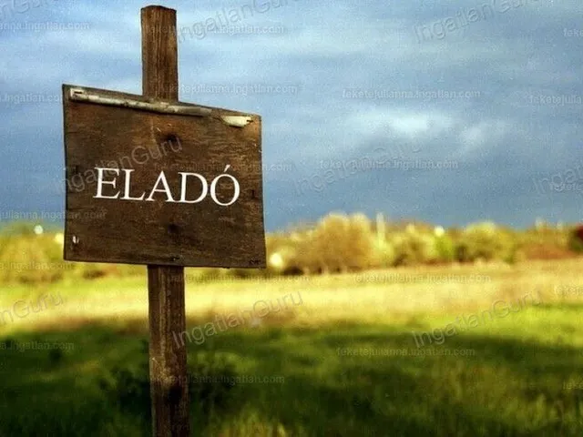 Eladó mezőgazdasági ingatlan Helvécia 6074 nm