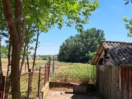 Eladó mezőgazdasági ingatlan Lajosmizse 66097 nm