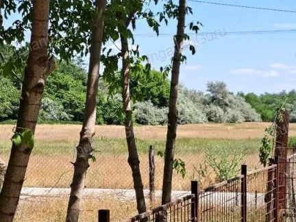 Eladó mezőgazdasági ingatlan Lajosmizse 66097 nm