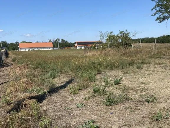 Eladó mezőgazdasági ingatlan Kecskemét, Belsőnyír 26072 nm