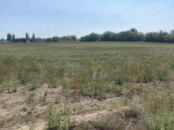 Eladó mezőgazdasági ingatlan Kecskemét, Belsőnyír 24500 nm