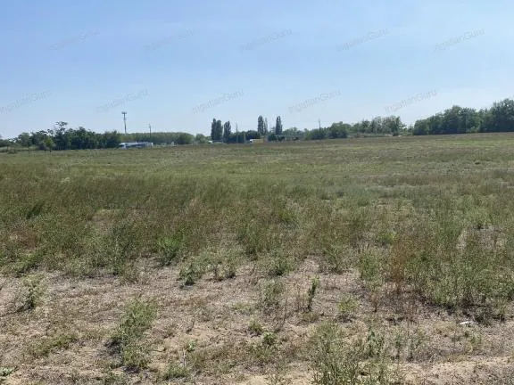 Eladó mezőgazdasági ingatlan Kecskemét, Belsőnyír 22800 nm