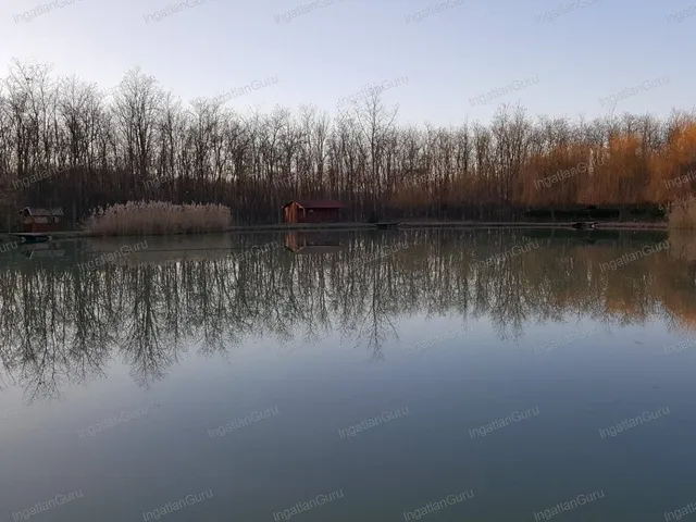 Eladó kereskedelmi és ipari ingatlan Kecskemét, Úrihegy 320 nm